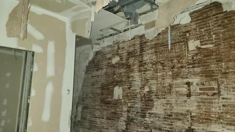 Before It's Gone - 20201031_181446.jpg