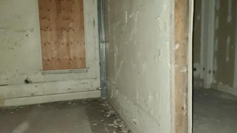 Before It's Gone - 20201031_180906.jpg