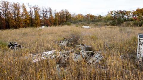 Photo from Fall 2020