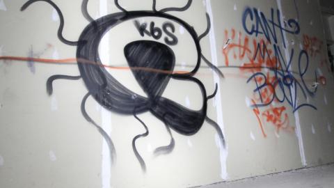 Crispy Halloween - IMG_6596 scaled down.jpg