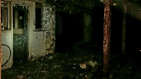 Rotten-Candy: McCormick's at Night - 20201027_220528_copy_3991x5321.jpg