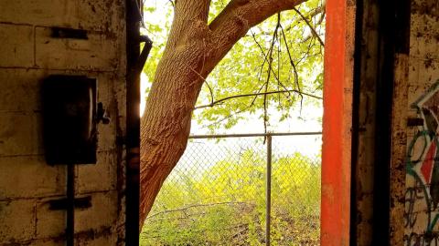 Lost And Foundry - 20201025_232712_copy_2993x3991.jpg