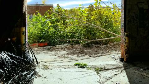 Lost And Foundry - 20201025_234337_copy_2993x3990.jpg