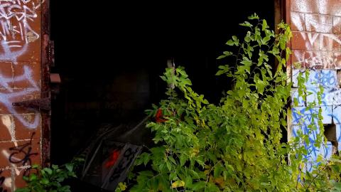 Lost And Foundry - 20201025_225708_copy_2993x4200.jpg