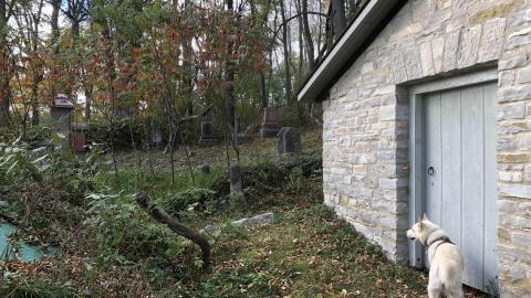 Milton Cemetery - Milton Cemetery (7)-min.JPG