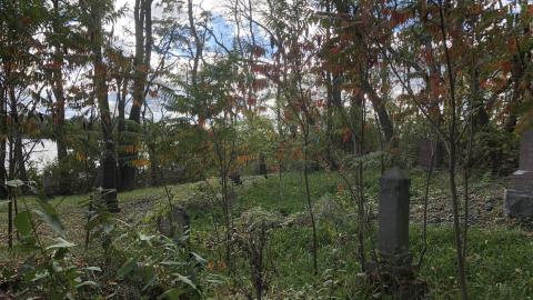 Milton Cemetery - Milton Cemetery (10)-min.JPG