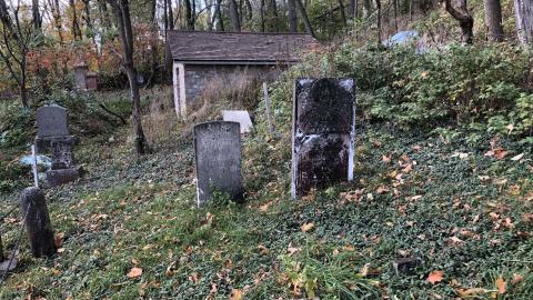 Photo from Milton Cemetery