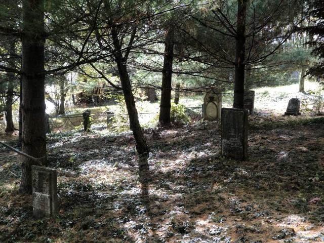 Milton Cemetery. photo 4