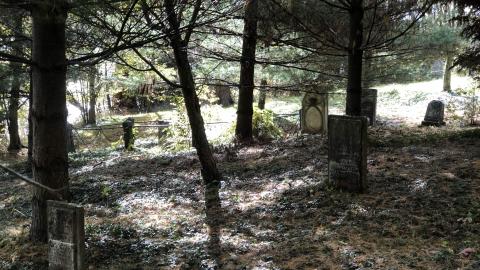 Photo from Milton Cemetery