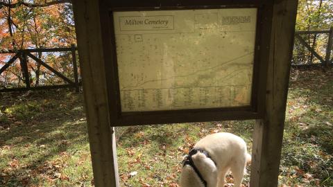 Milton Cemetery - Milton Cemetery (24)-min.JPG