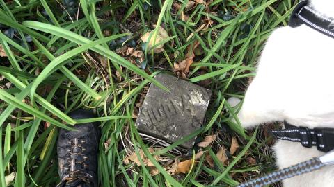 Milton Cemetery - Milton Cemetery (42)-min.JPG