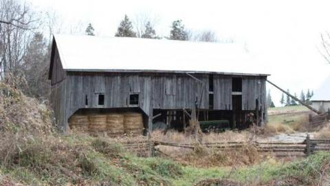 Mansfield Ski Hill photo 5