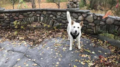 Granite Castle - Granite Castle (7)-min.JPG