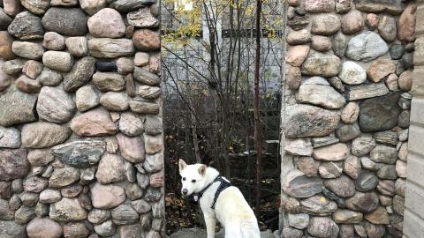 Granite Castle - Granite Castle (9)-min.JPG