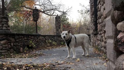 Granite Castle - Granite Castle (11)-min.JPG