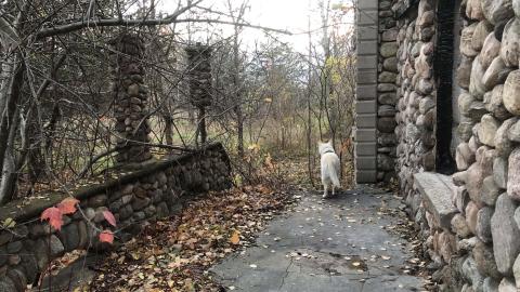 Granite Castle - Granite Castle (12)-min.JPG