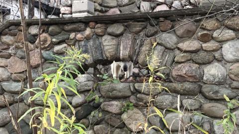 Granite Castle - Granite Castle (20)-min.JPG