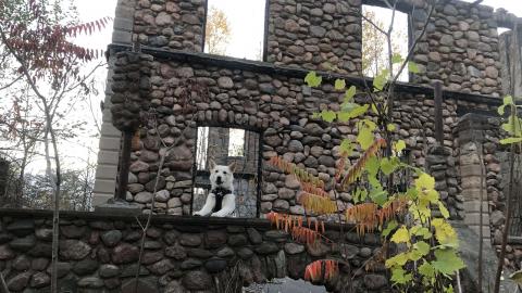 Granite Castle - Granite Castle (22)-min.JPG