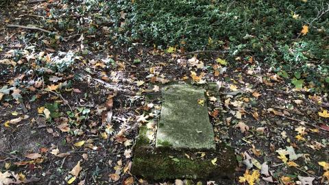 Backus Pioneer Cemetery - Backus (10)-min.JPG