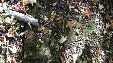 Backus Pioneer Cemetery - Backus (12)-min.JPG