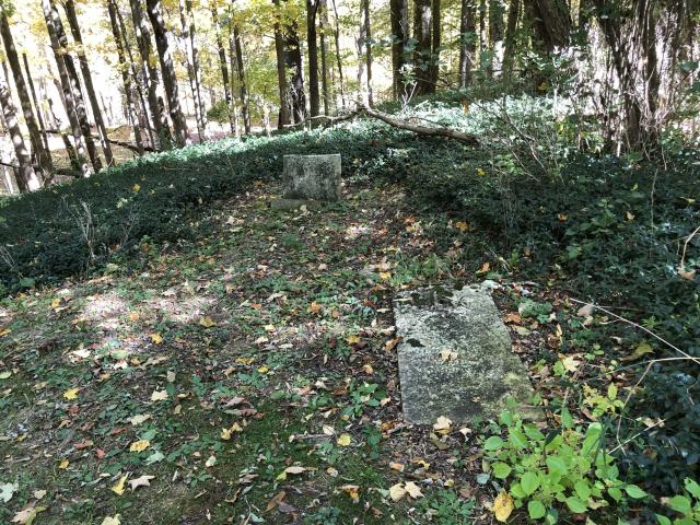 Backus Pioneer Cemetery photo 5