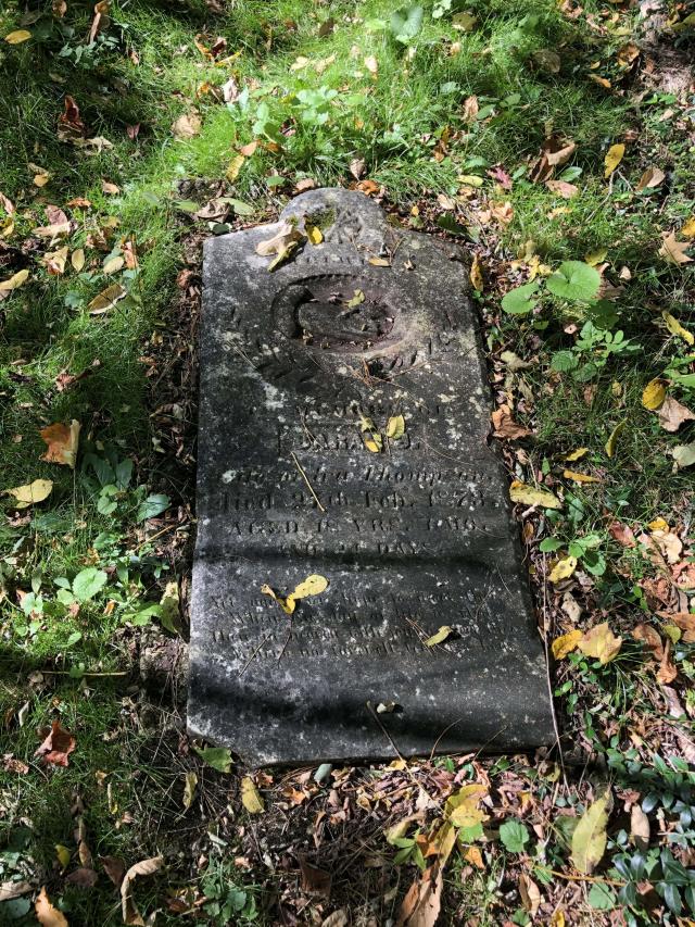 Backus Pioneer Cemetery photo 4