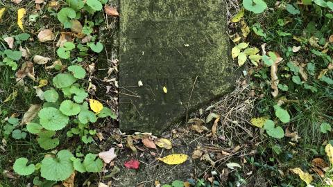 Backus Pioneer Cemetery - Backus (22)-min.JPG