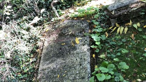 Backus Pioneer Cemetery - Backus (23)-min.JPG