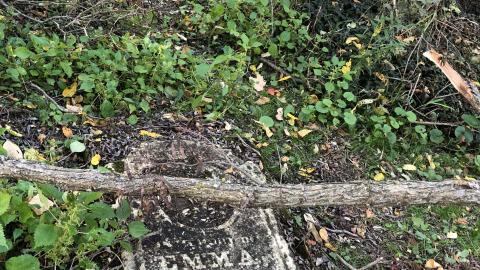 Backus Pioneer Cemetery - Backus (26)-min.JPG