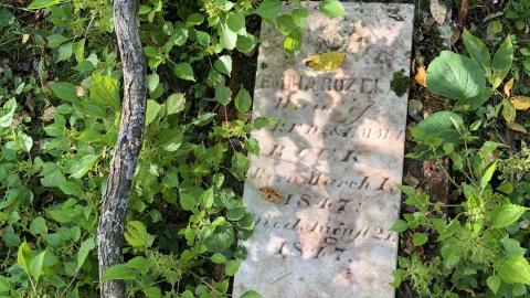 Backus Pioneer Cemetery - Backus (29)-min.JPG