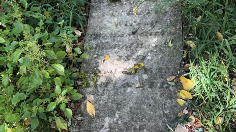 Backus Pioneer Cemetery - Backus (30)-min.JPG