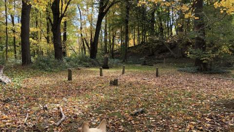 Backus Pioneer Cemetery - Backus (33)-min.JPG