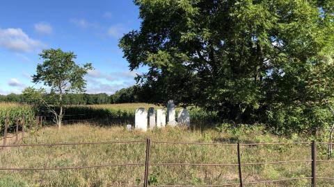 McIntyre Family Cemetery photo 2