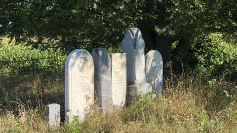 McIntyre Family Cemetery photo 5