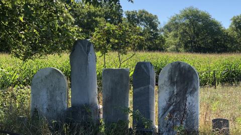 McIntyre Family Cemetery photo 3