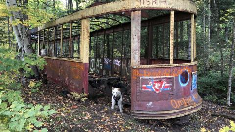 Photo from TTC Streetcar