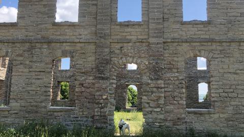 Holy Cross Mission - Holy Cross Mission (7)-min.JPG