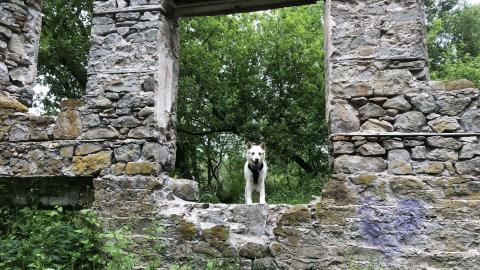 Photo from German's Woollen Mill