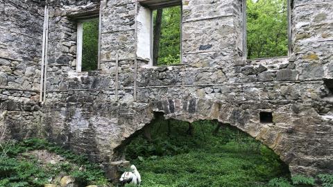 Photo from German's Woollen Mill