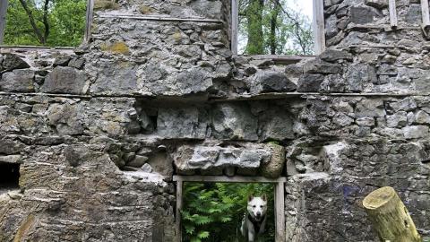 Photo from German's Woollen Mill