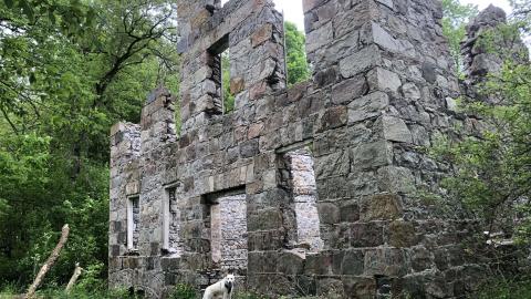 German's Woollen Mill - German Woolen Mill (7)-min.JPG