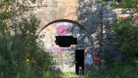 Merritton Tunnel (Blue Ghost Tunnel) - Blue Ghost 1.JPG