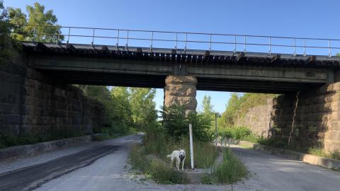 Merritton Tunnel (Blue Ghost Tunnel) - Blue Ghost 11.JPG