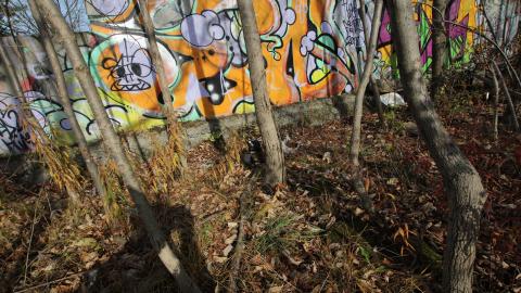 iM dOoMiNg YuR sKaTeSpOt!11!!! - IMG_7387 scaled down.jpg