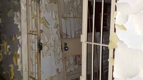 Saturday November 7th Exploration - B64452AB-3F42-428D-99B4-37D0D076F9CE.jpeg