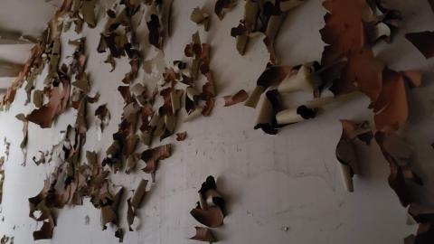 Saturday November 7th Exploration - F0FFA78D-5490-4D1D-A11B-8262881FB3F1.jpeg