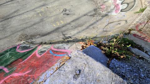 Photo from Doomed to be Skated