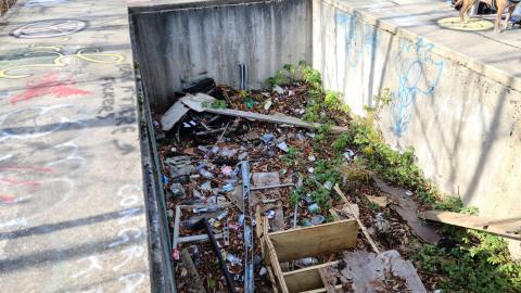 Photo from Doomed to be Skated