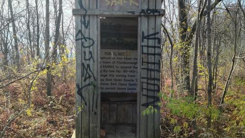 Photo from Doomed to be Skated