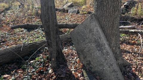 19th Mile Creek Cemetery - 19th Mile (2).JPG